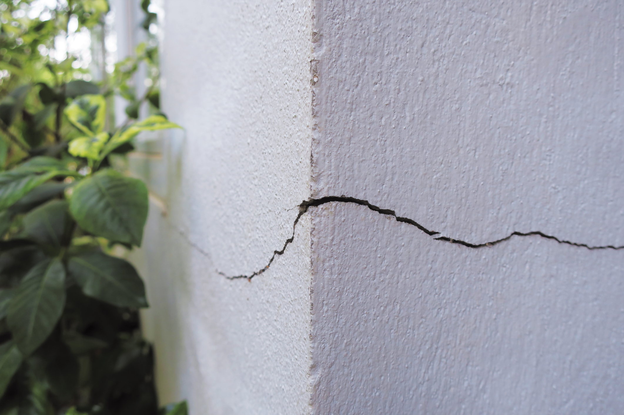 Damp, Drafts, and Cracks